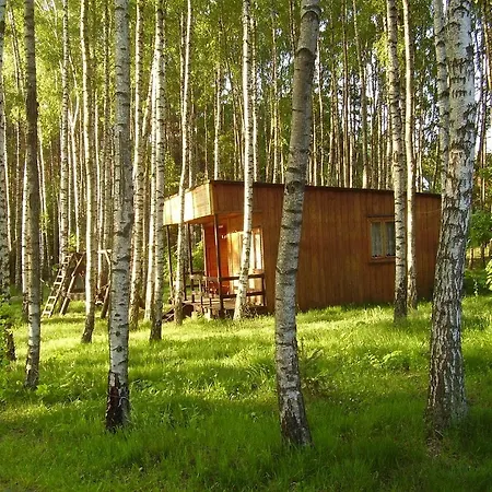 W Borkowie Nad Jeziorem Lodge Borkowo (Kartuzy)