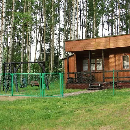 W Borkowie Borkowo (Kartuzy)