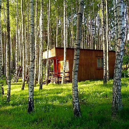 W Borkowie Nad Jeziorem Borkowo (Kartuzy)