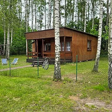Lodge W Borkowie Nad Jeziorem