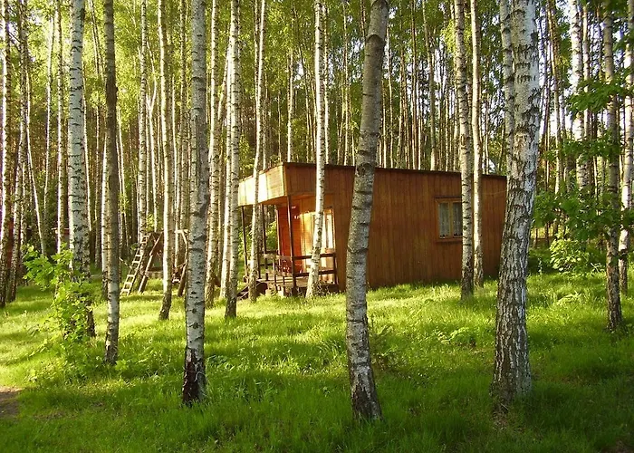 W Borkowie Jaktstuga Borkowo (Kartuzy)